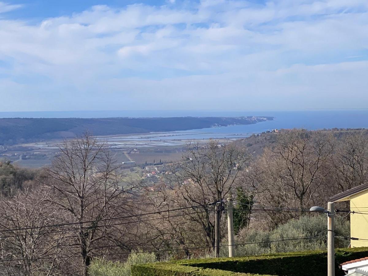 Sea View Istrian Countryside Apartment - Rota Dragonja Eksteriør billede