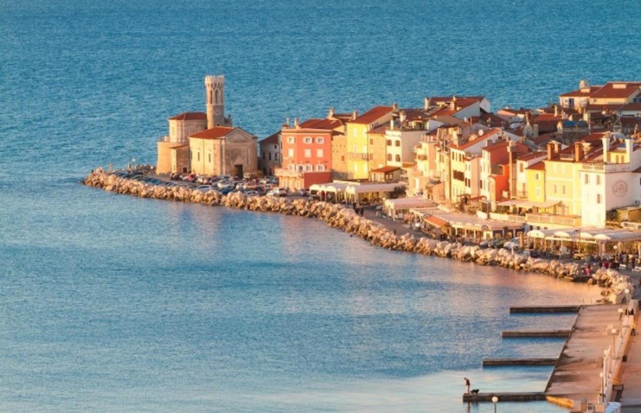 Sea View Istrian Countryside Apartment - Rota Dragonja Eksteriør billede